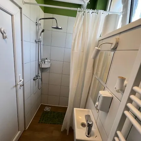 Cabbage 贝尔格莱德