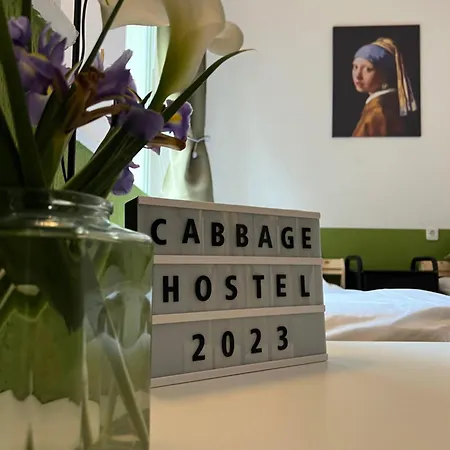 Cabbage