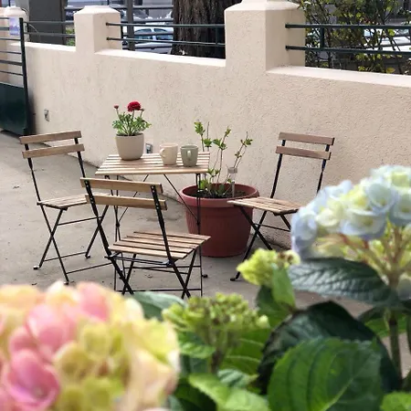 Cabbage 旅馆 贝尔格莱德